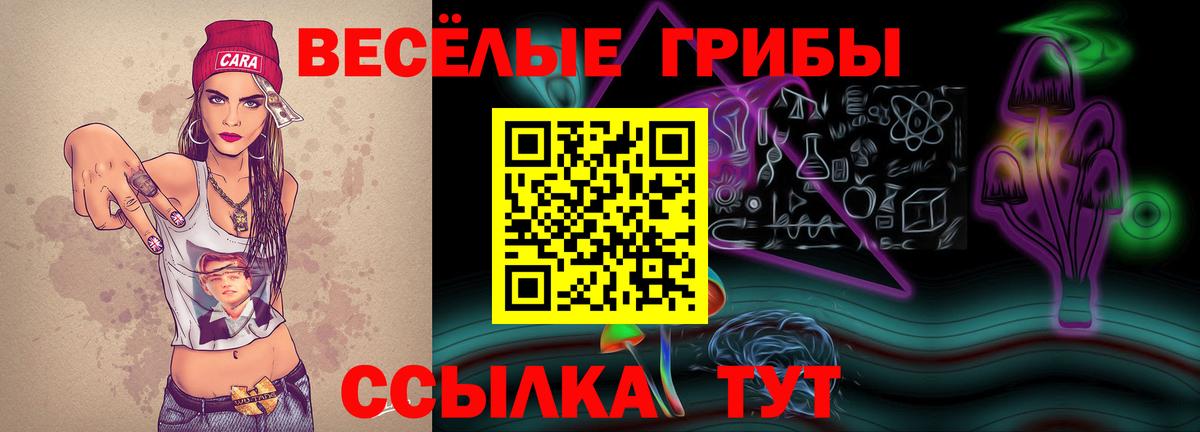Красногорск  Псилоцибиновые грибы мухоморы  Псилоцибиновые грибы Magic Shrooms  Вход с VPN 